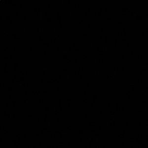 Meet your Posher, Izzy